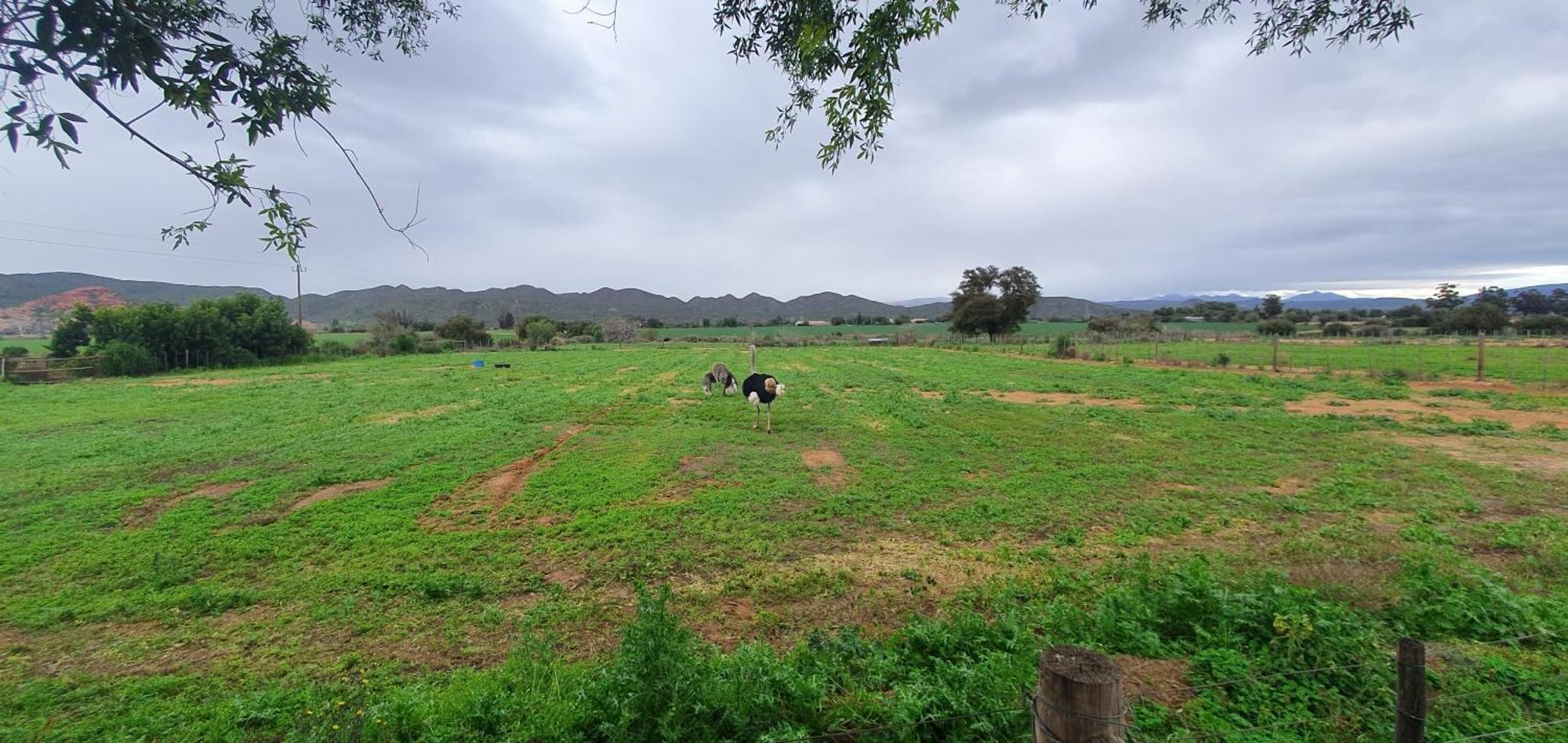 הוילה אאודטסהורן Karoo Leeu Self Catering מראה חיצוני תמונה