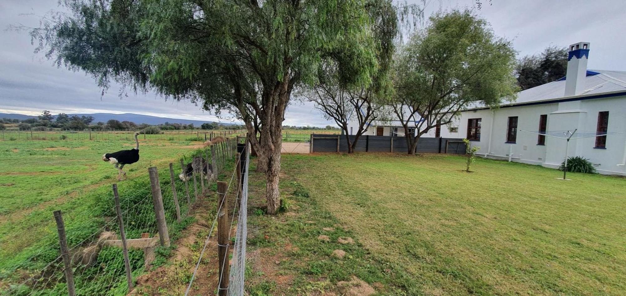 הוילה אאודטסהורן Karoo Leeu Self Catering מראה חיצוני תמונה